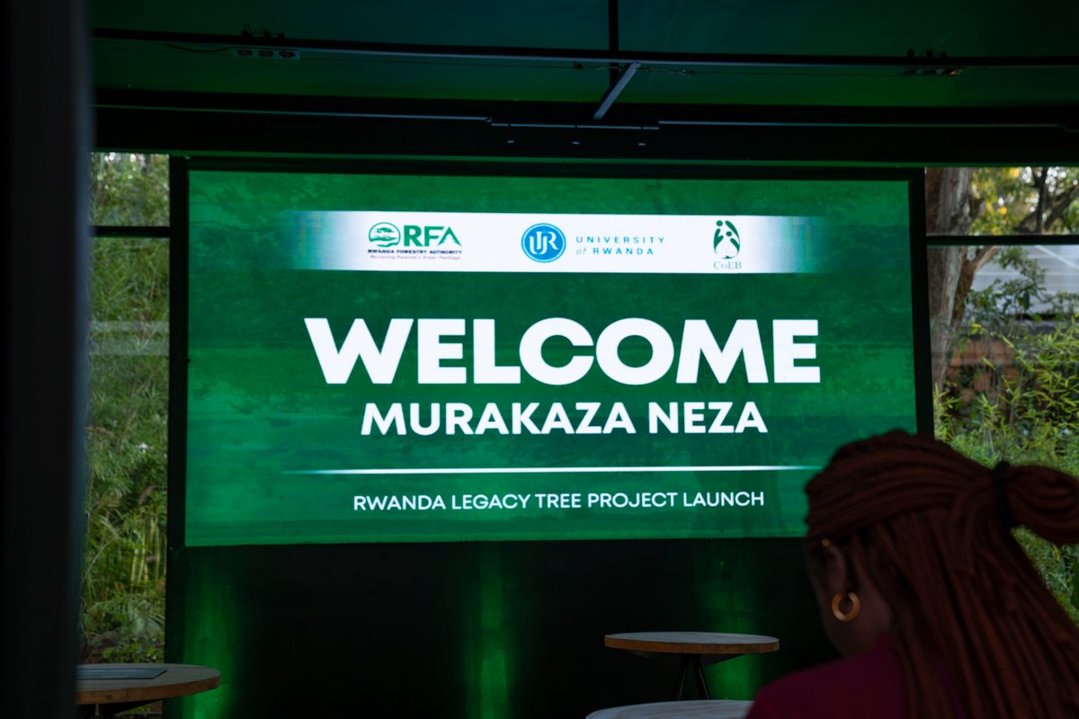 SpruikAgency's tweet photo. Yesterday, @RwandaForestry and @CoEBrwanda launched the #LegacyTreeProject, a groundbreaking initiative aimed to identify, document, and protect Rwanda’s oldest native trees, some of which have stood for centuries, preserving history, culture, and biodiversity.
#GreenRwanda 🇷🇼🌿 https://t.co/bfsj7UoEBs