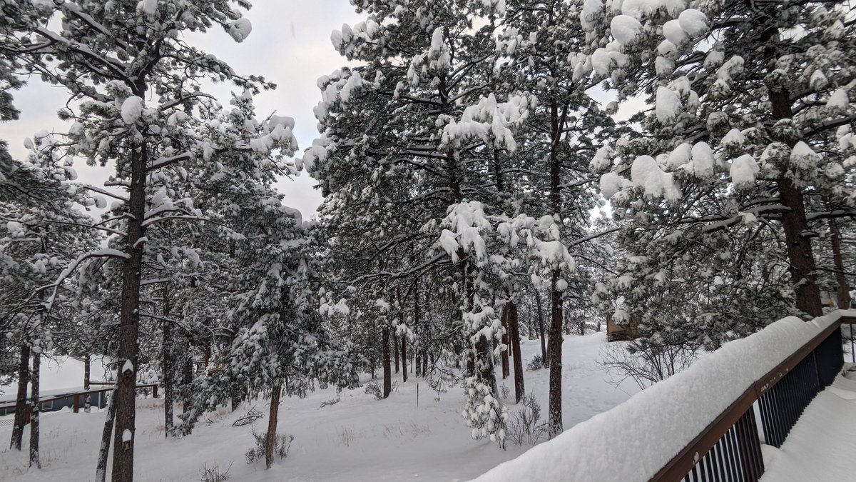 Evergreen awakening to 14.9" of fresh snowfall. #cowx