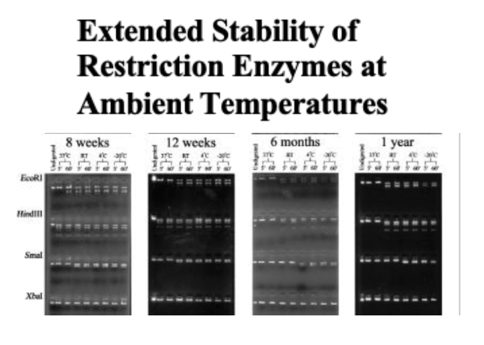 SynBio1's tweet photo. Real talk: why do we store so many lab enzymes at -20 when they are apparently shelf stable? Are we stupid?
https://t.co/VXG8RCNuad https://t.co/PdN809c8A1