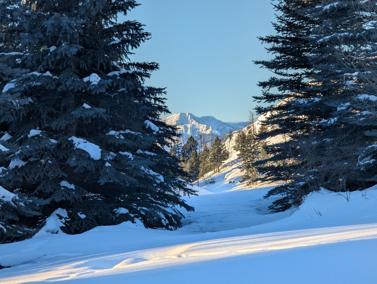 Spring is on its way to Montana.