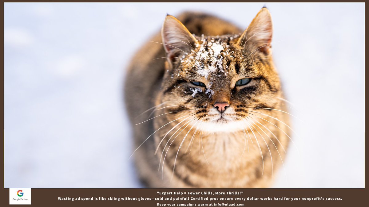 UluadM's tweet image. &quot;Expert Help = Fewer Chills, More Thrills!&quot;
Wasting ad spend is like skiing without gloves—cold and painful! Certified pros ensure every dollar works hard for your nonprofit’s success.
Keep your campaigns warm at info@uluad.com
#ExpertHelp
#GoogleAdsGrant
#nonprofit