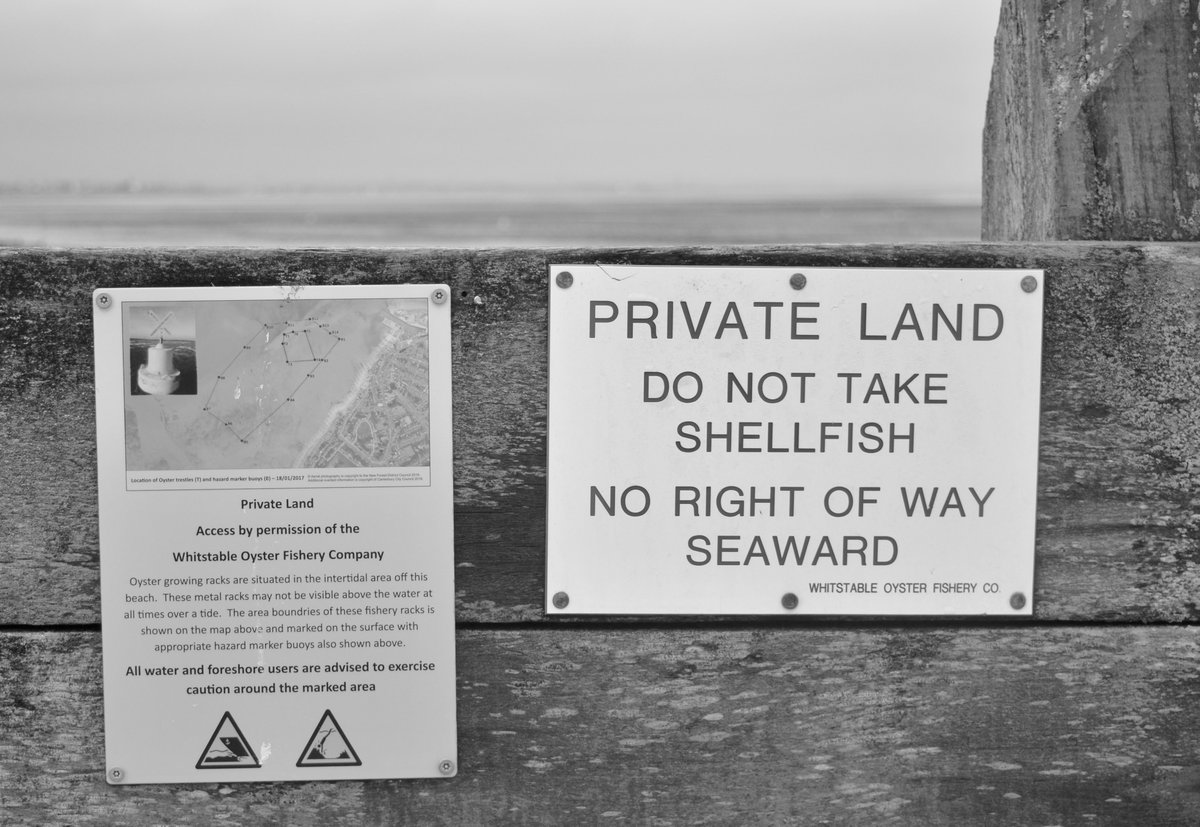 If you like oysters, planning law and coastal conflict, this new paper is the one for you! journals.sagepub.com/doi/10.1177/26…