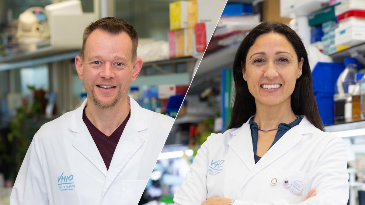 Vall d’Hebron Institute of Oncology (VHIO) (@vhio) on Twitter photo #MYC: de diana terapĂ©utica intratable a los primeros ensayos clĂnicos en pacientes con cáncer 🔬
🗞️ Recientemente publicado como artĂculo de revisiĂłn en <a href="/NatRevDrugDisc/">Nature Reviews Drug Discovery</a>, <a href="/LauraSoucek/">Laura Soucek</a> y <a href="/jonywhitfield/">Jonathan Whitfield</a> ofrecen una visiĂłn experta sobre las diferentes estrategias para inhibir MYC ➡️ #MYC: de diana terapĂ©utica intratable a los primeros ensayos clĂnicos en pacientes con cáncer 🔬
🗞️ Recientemente publicado como artĂculo de revisiĂłn en <a href="/NatRevDrugDisc/">Nature Reviews Drug Discovery</a>, <a href="/LauraSoucek/">Laura Soucek</a> y <a href="/jonywhitfield/">Jonathan Whitfield</a> ofrecen una visiĂłn experta sobre las diferentes estrategias para inhibir MYC ➡️