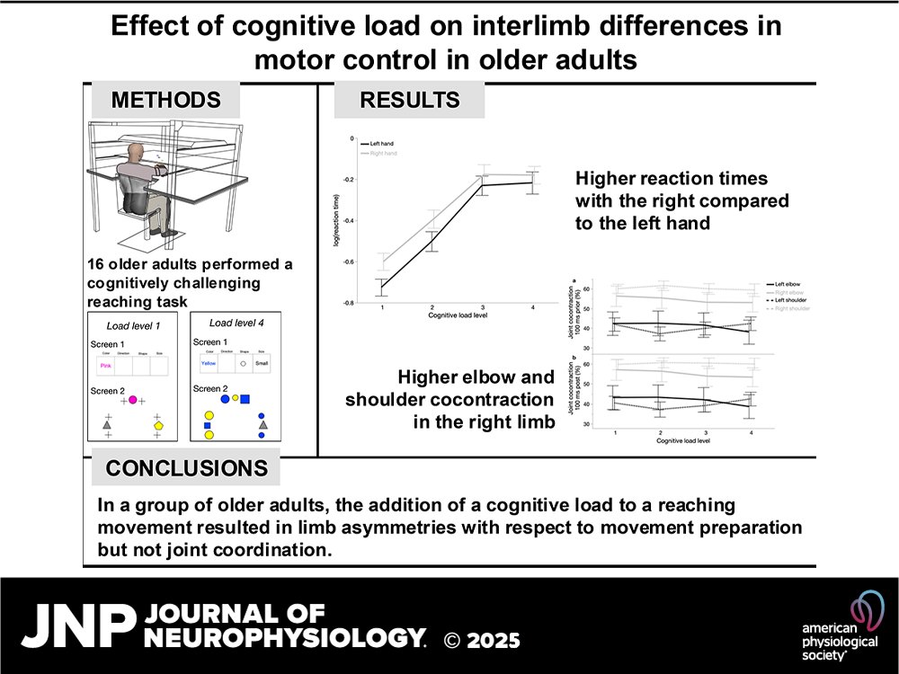 JNeurophysiol's tweet image. Exploring how cognitive load shapes motor control asymmetries! S. A. L. Jayasinghe study reveals intriguing insights on reaction times in older adults. 

ow.ly/cWbm50USH68

#lateralization #MotorControl #MovementPreparation