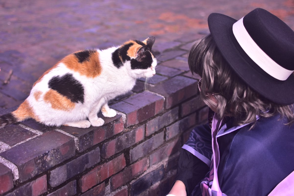 【𝒎𝒉𝒚𝒌/𝒄𝒐𝒔】

... 
       𝟚.𝟚𝟚 🐈🐈‍⬛
                               …

🐈...
𝑷𝒉𝒐𝒕𝒐:<a href="/el_photo102/">える📷新規予定4月〜</a> 

#まほやく_cos