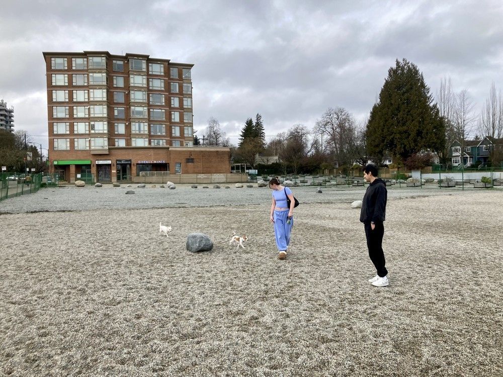 theprovince's tweet photo. Makeshift dog parks hand Vancouver developers huge property-tax breaks https://t.co/A0JH4CmdT2 https://t.co/nPezLMejY8