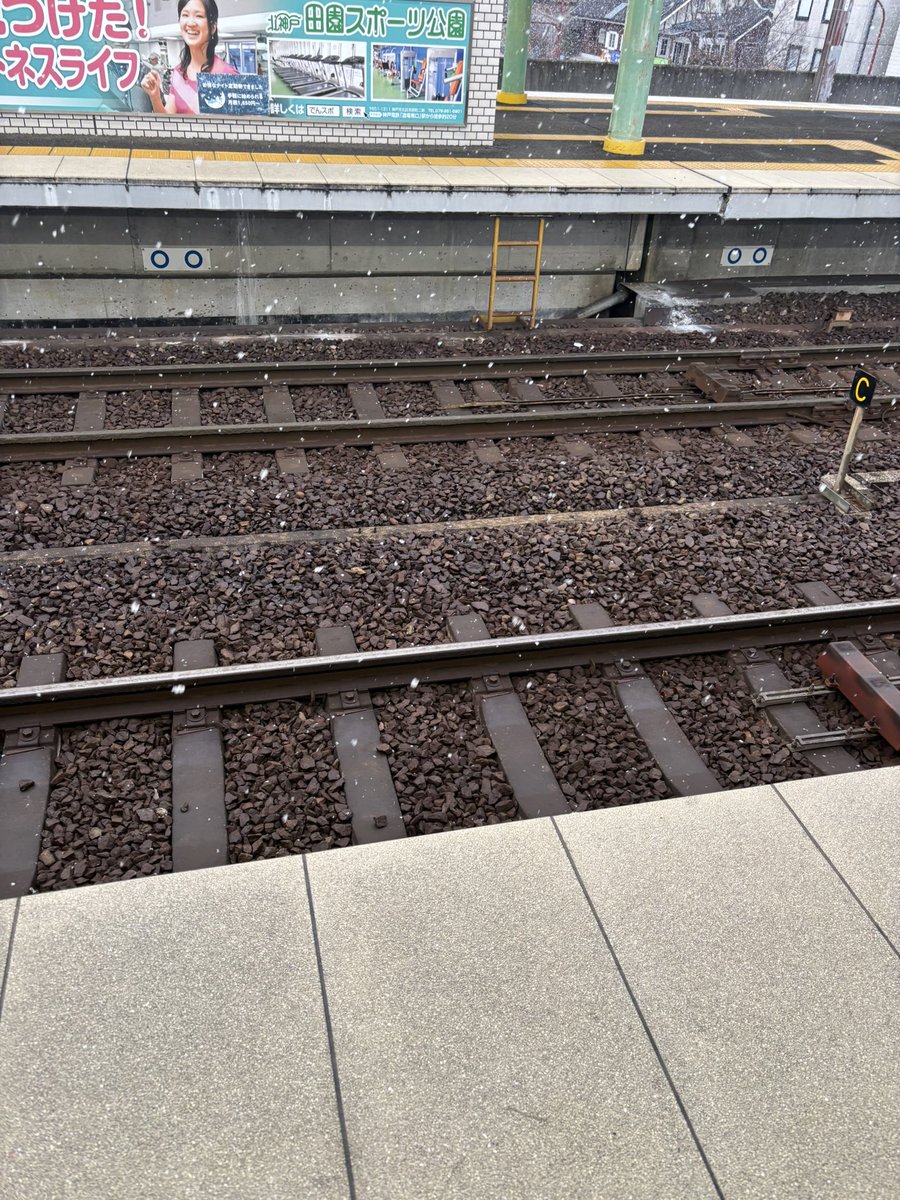 2/21
#日常垢 
あれまた雪⛄️