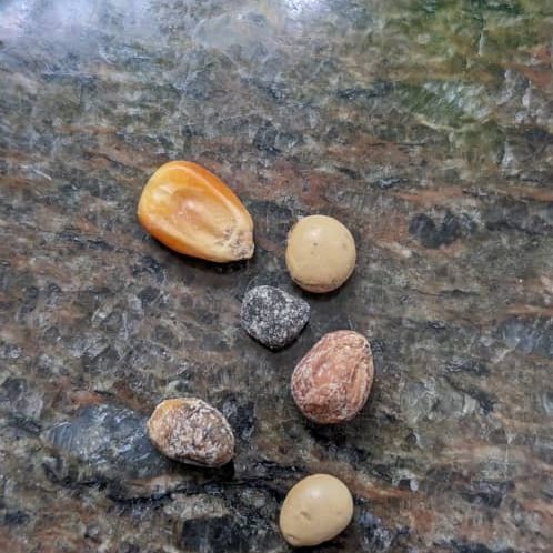 No llego a superar las insólitas "sorpresas" que encontraba <a href="/LaBarreiro/">Raquel Barreiro</a>, pero dejo constancia de qué se puede conseguir en el maní de un supermercado del este caraqueño de apellido castizo y sentido de proyecto