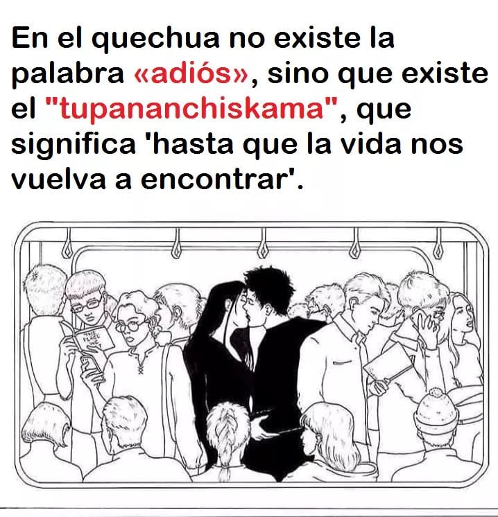 literland (@literlandweb1) on Twitter photo 