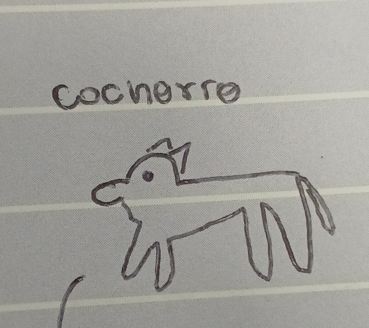 studysofis's tweet image. cachorro