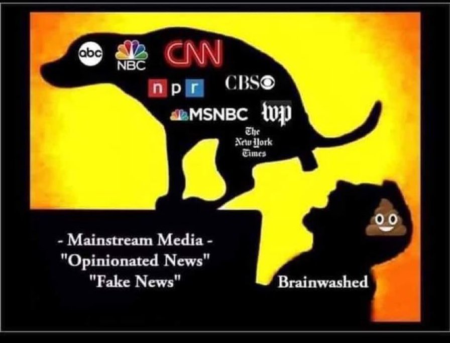 The “news” media is mostly fake.