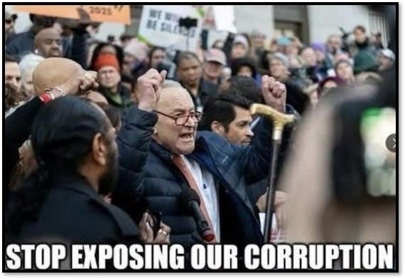 MAGAWoodworker's tweet image. Demonrats really are the dumbest people you will ever meet. 
#EXPOSEITALL