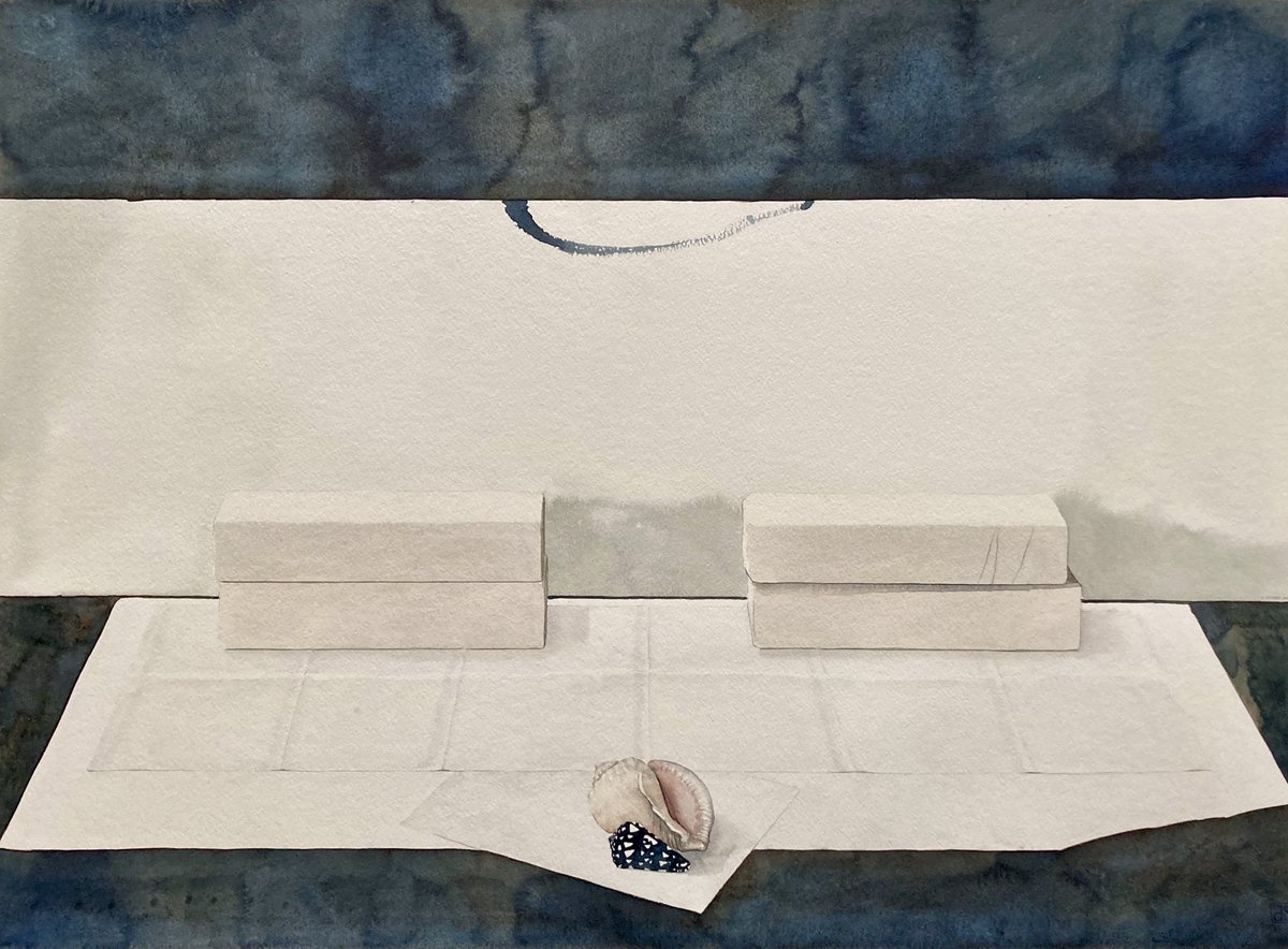 DfsStubbs's tweet image. Folded paper, four plaster blocks and two #seashells #stillife #painting in #watercolour A1