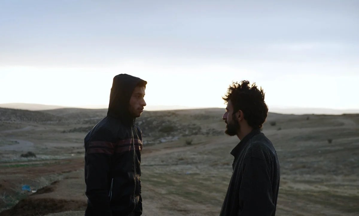 Only a few more categories to go in the Oscar Contenders series! This week, we dive into Animated, Documentary, and International Feature and chat about all three Shorts categories. Link in bio!