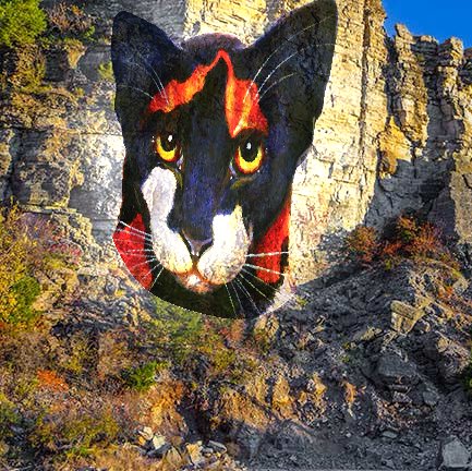 sol_eclipse_cat's tweet image. HELLO THUNDERCLAN!

I am so honored to be projected on the Highrock