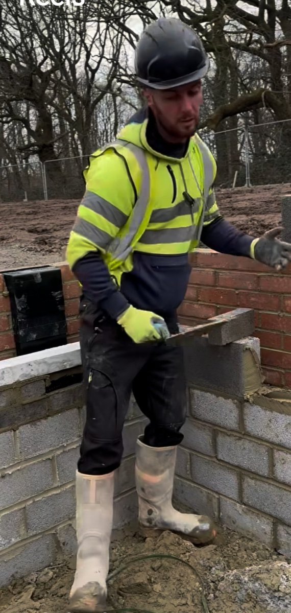 HivizScruffs's tweet image. 