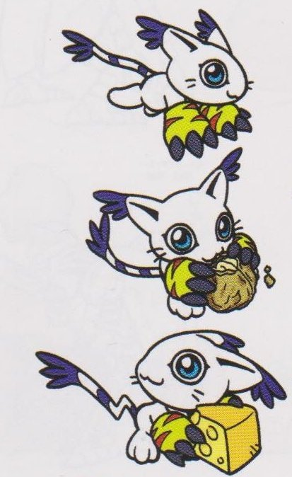 Data Ravel tweet media