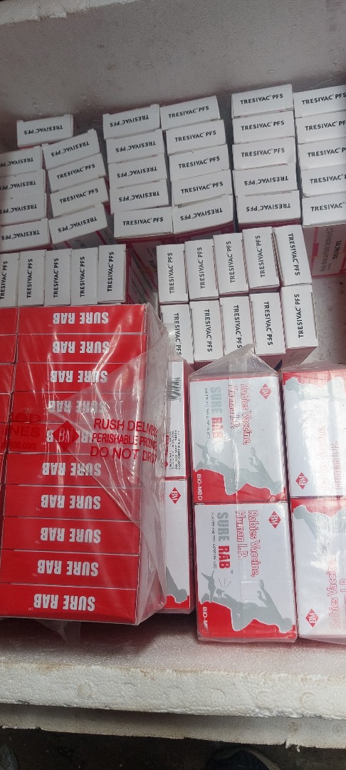 NafdacAgency's tweet image. Yesterday at the Idumota Drug Market, NAFDAC officials discovered a stash of vaccines, including Yellow Fever, Dano Anti-Tetanus, Measles, and Diphtheria vaccines, hidden under a staircase.