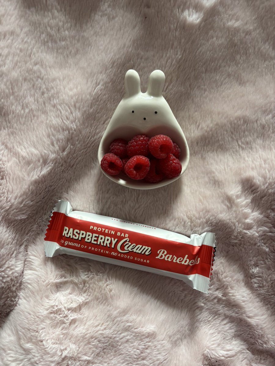 shushulives's tweet image. thought id share a snack bc its raspberry themed!