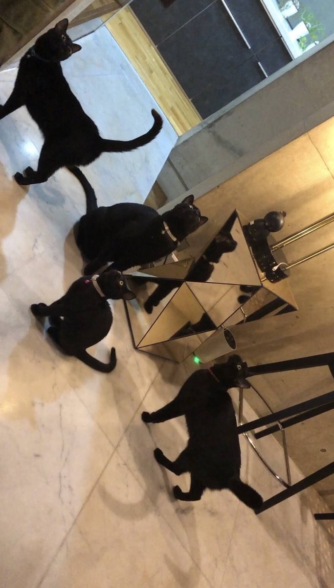 Akira Takasaki tweet media