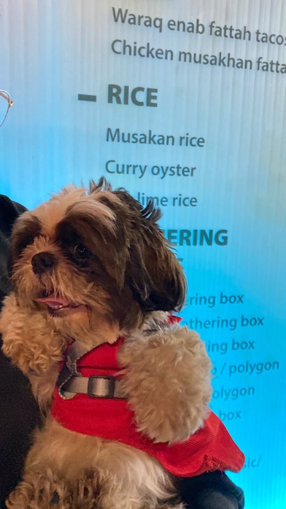 A N (@a7bkmm5) on Twitter photo 