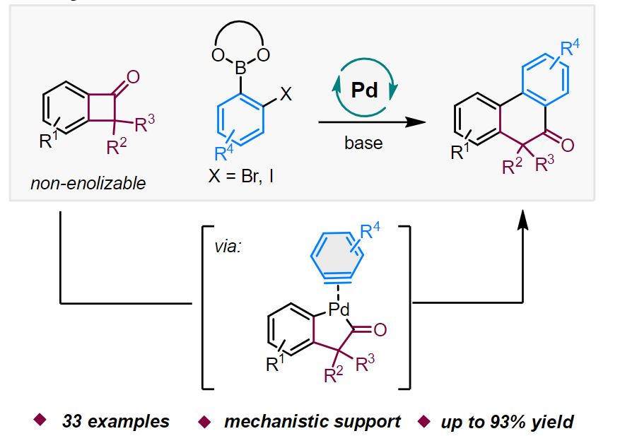 The Dong Lab (@gbd_lab) on Twitter photo Pd-catalyzed "cut-and-sew" with arynes!
Check out our latest achievement, now online in <a href="/angew_chem/">Angewandte Chemie</a>
Congratulations to Cole!
onlinelibrary.wiley.com/doi/epdf/10.10⦠Pd-catalyzed "cut-and-sew" with arynes!
Check out our latest achievement, now online in <a href="/angew_chem/">Angewandte Chemie</a>
Congratulations to Cole!
onlinelibrary.wiley.com/doi/epdf/10.10ā¦