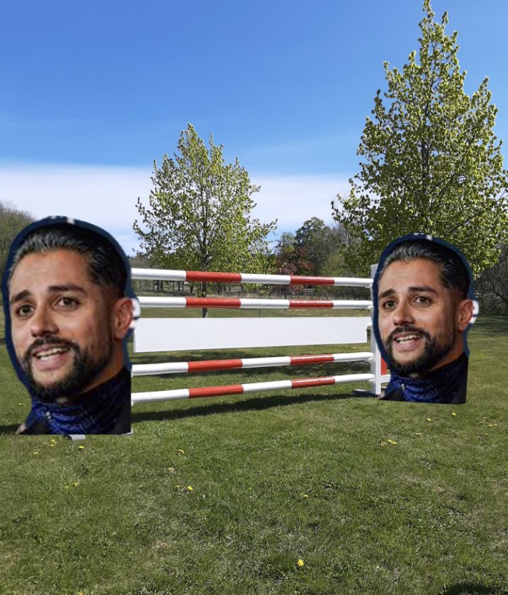 Kunsten å være hinder