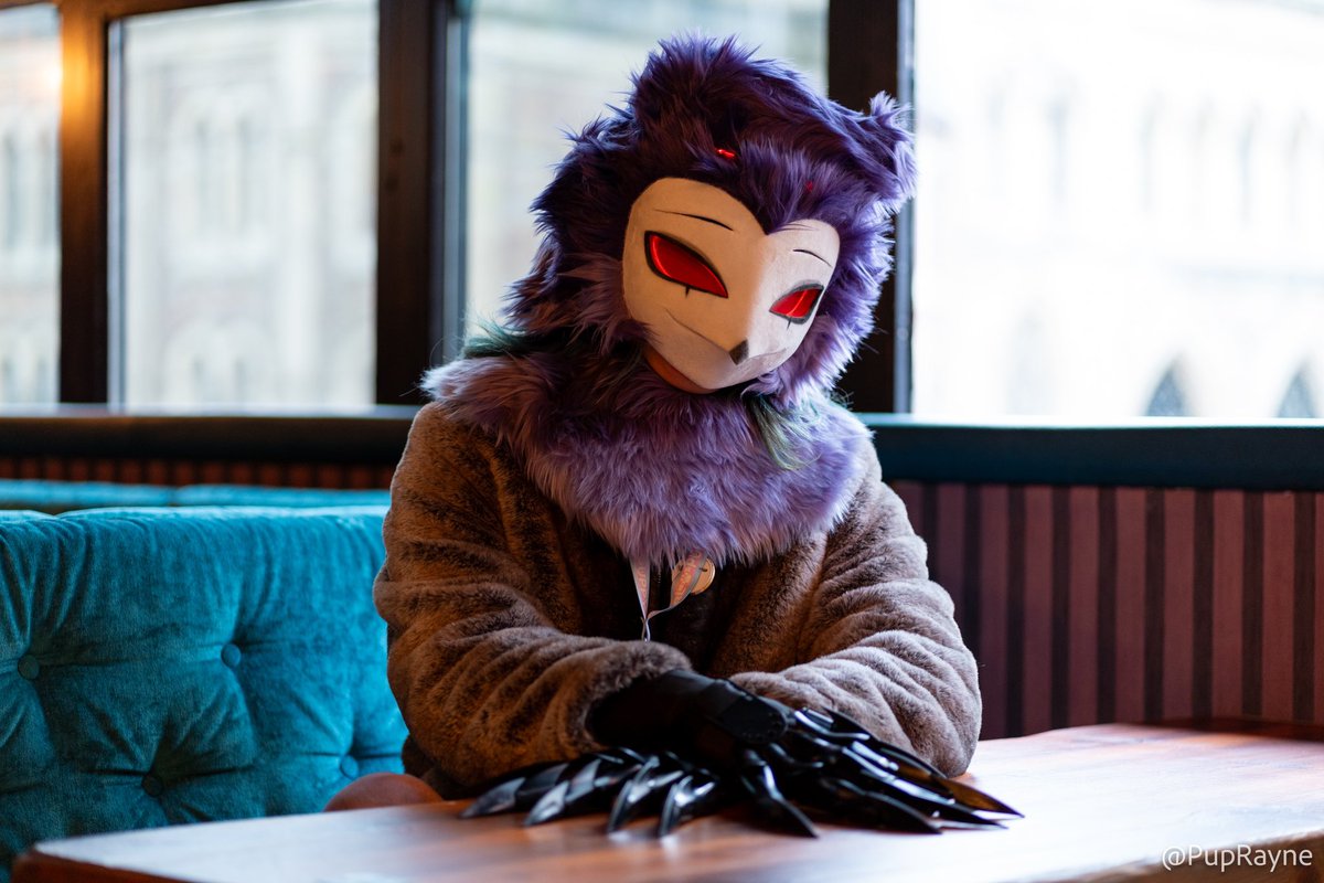 New bird…Hoots this. Some more lovely photos of Stolas in their natural habitat. Being waited on claw and beak.

📸<a href="/PupRayne/">PupRayne</a> 
#FursuitFriday