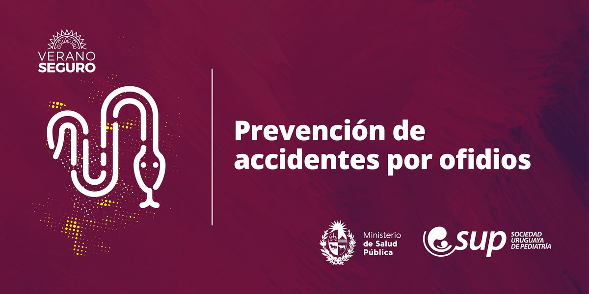 Uruguay cuenta con cuatro especies de ofidios potencialmente peligrosos. En el caso de encontrar una serpiente no intentes tocarla, lo mejor es respetar su espacio y alejarte.

Conocé cuáles son, qué hacer y qué no si tenés un accidente.