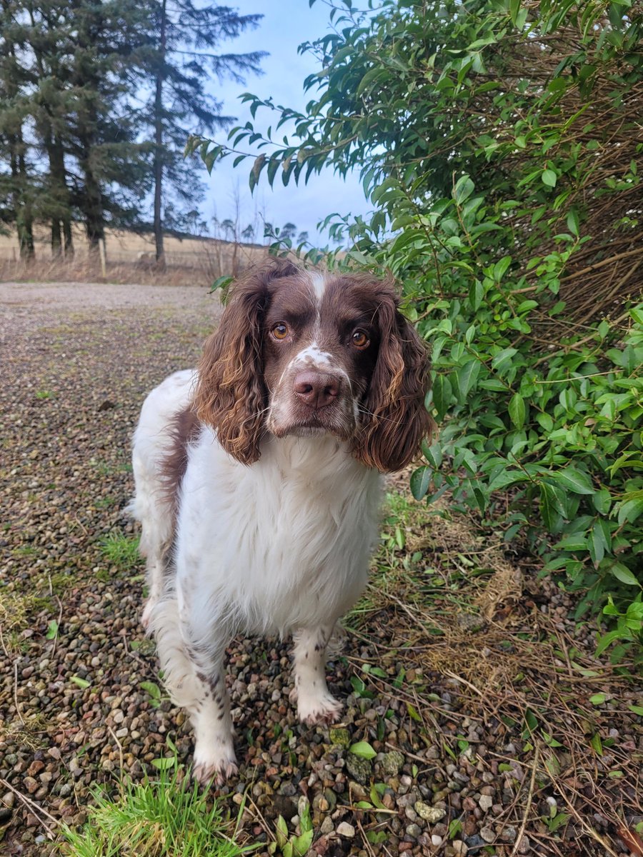 Day 11 in Jail.. made a break for freedom and let the wind blow me about a wee bit, nice to have some fresh air and stretch my legs #bubba