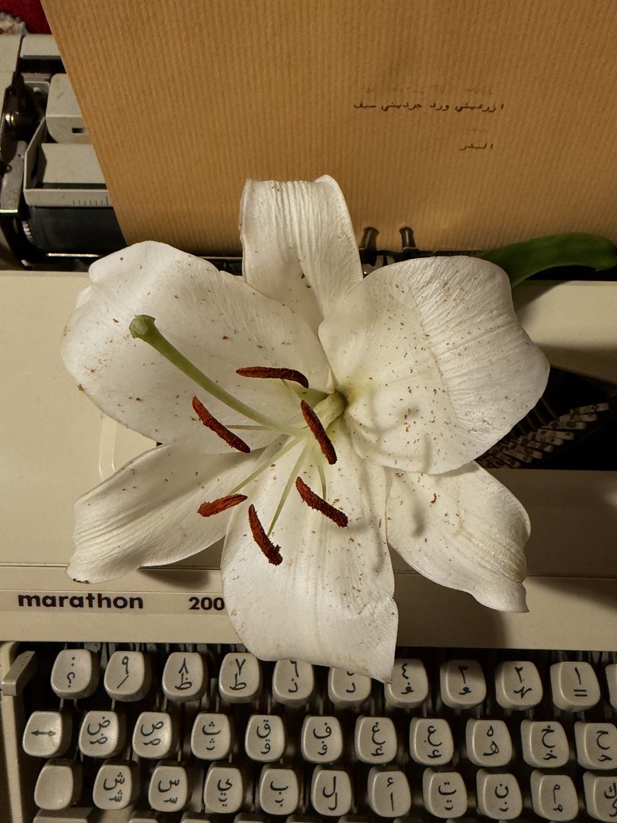 Itsmonsea's tweet image. 