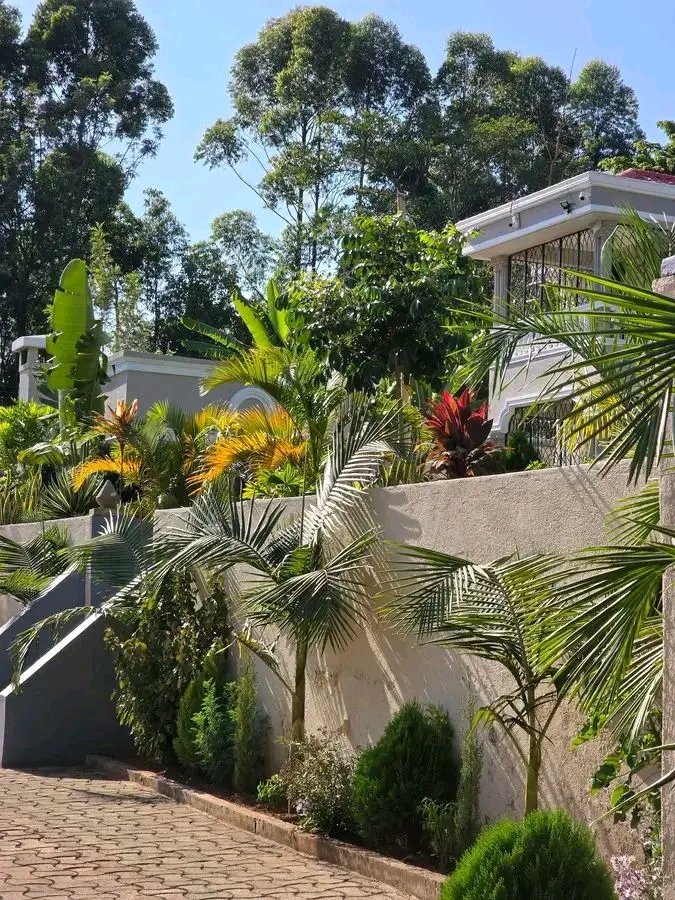 𝕮𝖑𝖆𝖘𝖘𝖙𝖊𝖆𝖈𝖍𝖊𝖗 tweet media