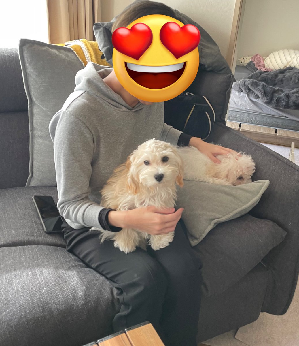 奥さん最強説😍🥰
え！？すごくない😳？
これぜーんぶ作ってくれた🥺💞ｳﾏｼ
やっぱ天才だっ✨

去年買ったイモリの黒焼きチョコ🦎
頭かじる姿が愛おしい🥰

ペットシッター（友達）来てくれて、ぐーボン嬉しそうだった🐶
奥さんも楽しめたみたいで良かった☺️

本当に素敵な奥さんすぎる🥹大好き💕