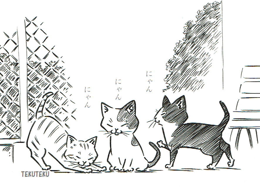 🐾 #猫好き 🐾 #猫の日 🐾 