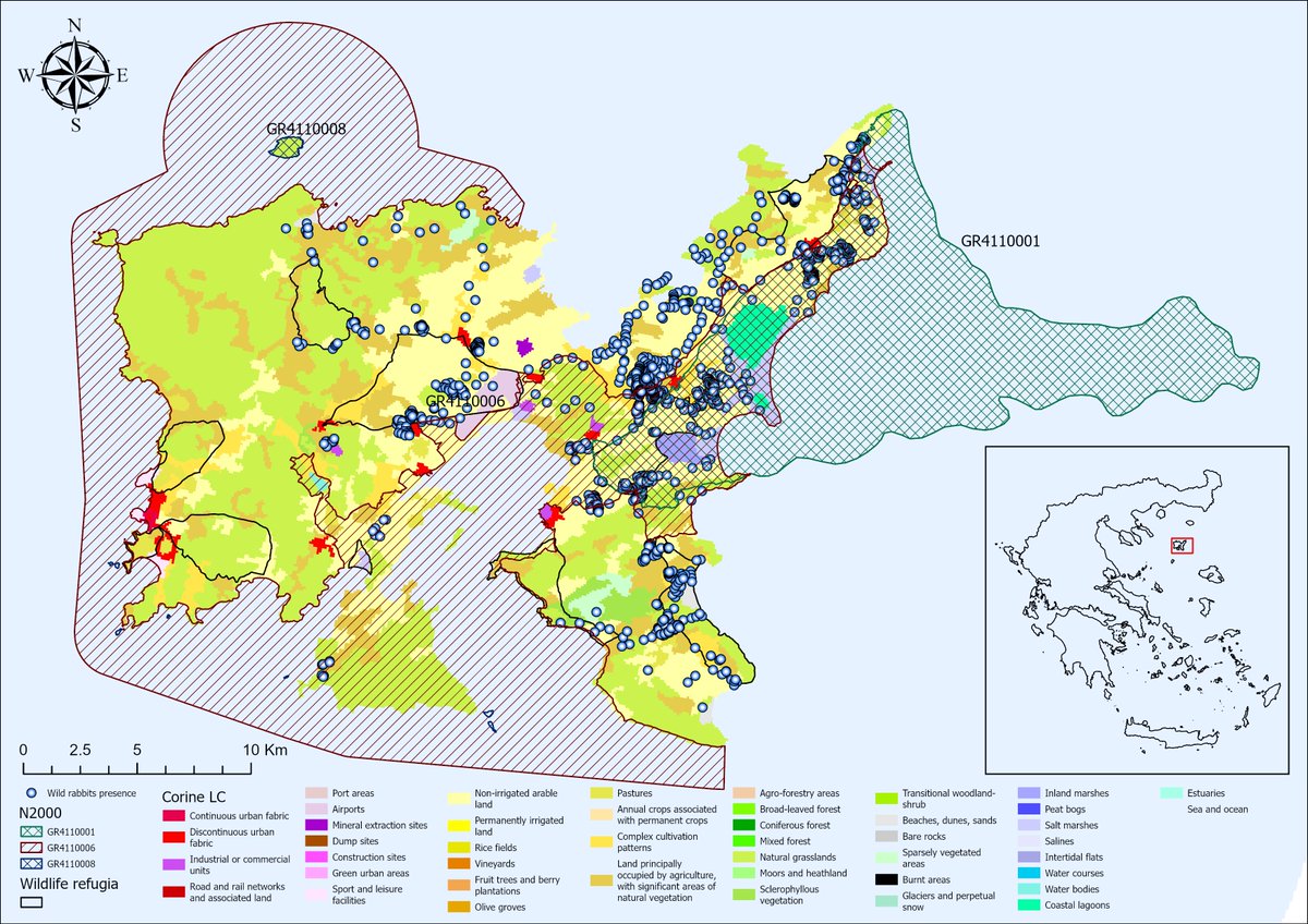 YZevgolis's tweet photo. New Article: Spatial Distribution Patterns, Environmental Drivers, and Hotspot Dynamics of the European Rabbit on a Mediterranean Island: Implications for Conservation and Management

https://t.co/DVfvgJSy5G

Many thanks to my coauthors &amp; to @Biology_MDPI for supporting our work https://t.co/YfhoWMRx6k