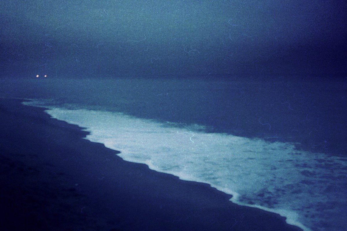 canvasoul_'s tweet photo. some 35mm work from my archive https://t.co/qlWOa7TG7T