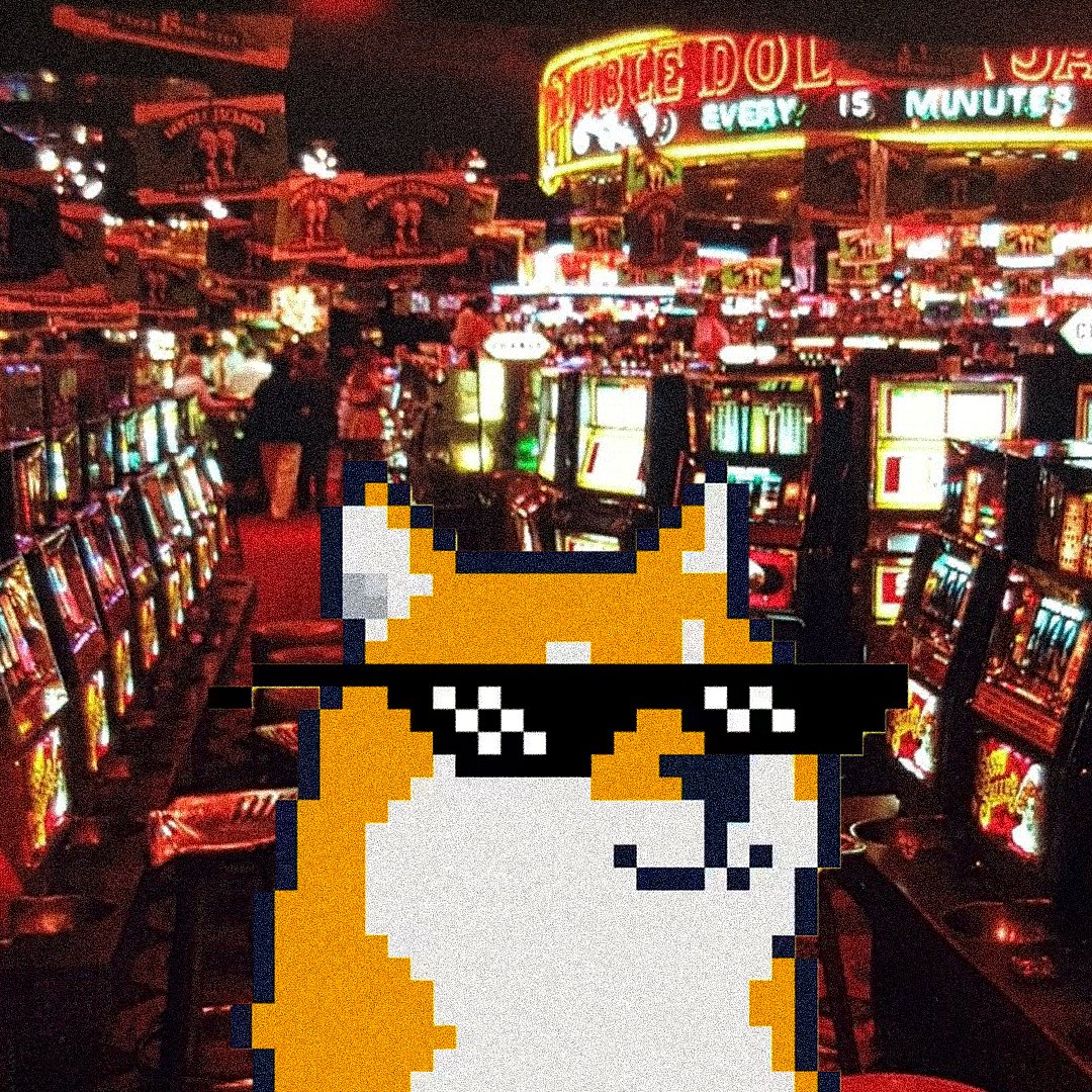 Such Shibas tweet media