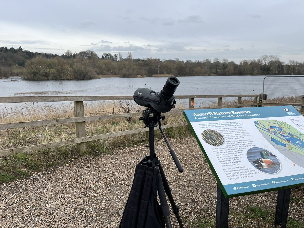 Murray Orchard tweet media