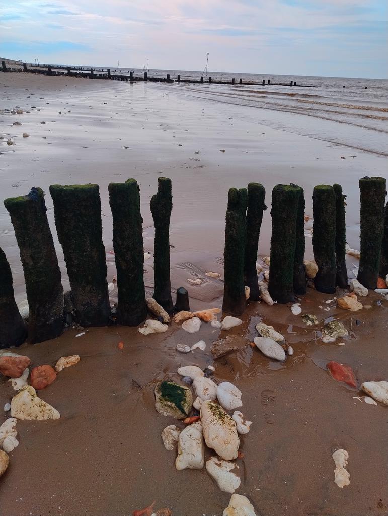 Ending half term in Norfolk!