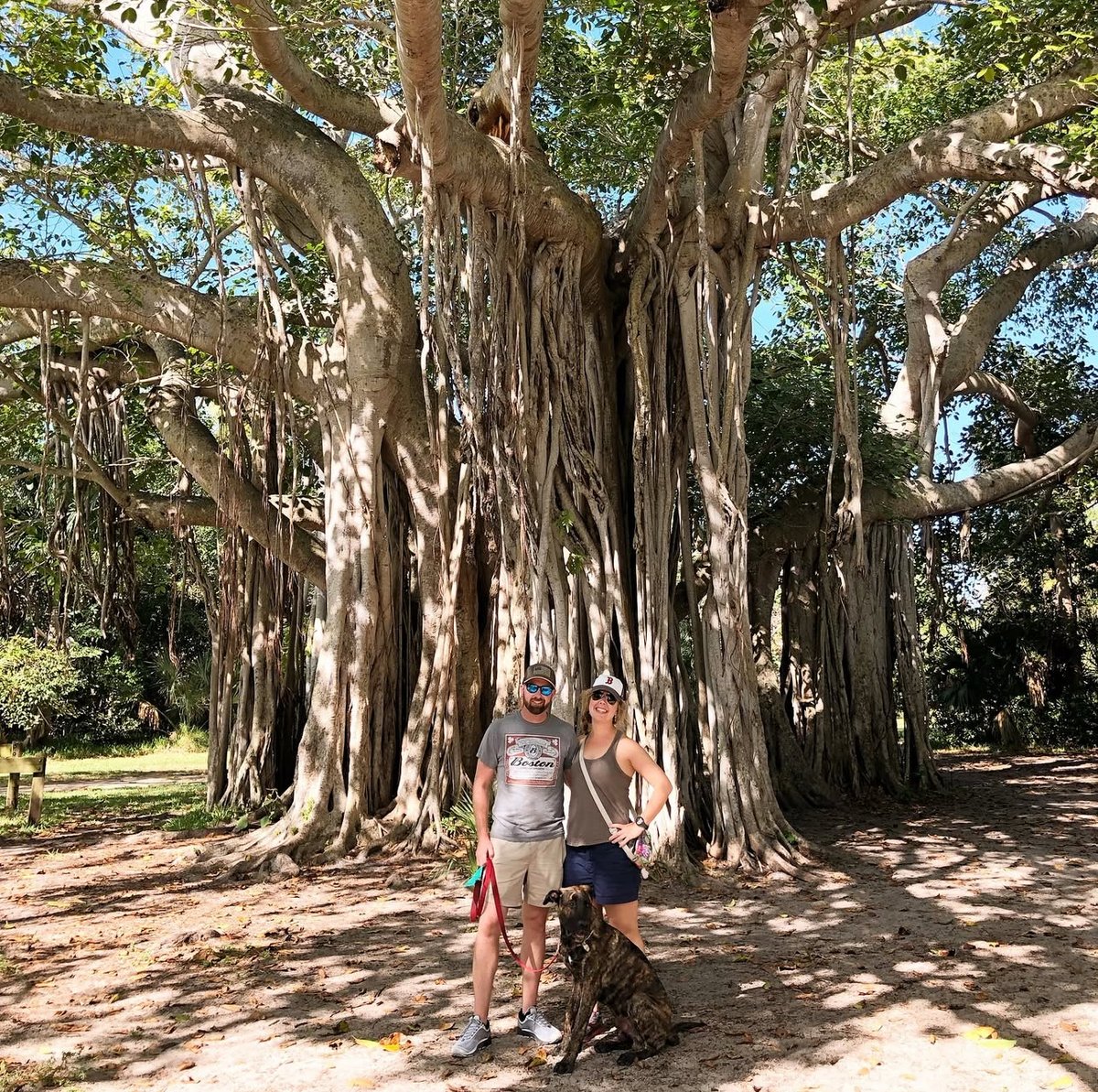 FLStateParksFdn's tweet photo. Escape the city at Hugh Taylor Birch State Park—Fort Lauderdale’s own Central Park! Once a winter retreat donated by Hugh Taylor Birch in 1941, this 180-acre oasis offers hiking, biking, kayaking, and wildlife sightings just steps from the beach. #FloridaStateParks #ExploreFL https://t.co/ZXkY4ItESr