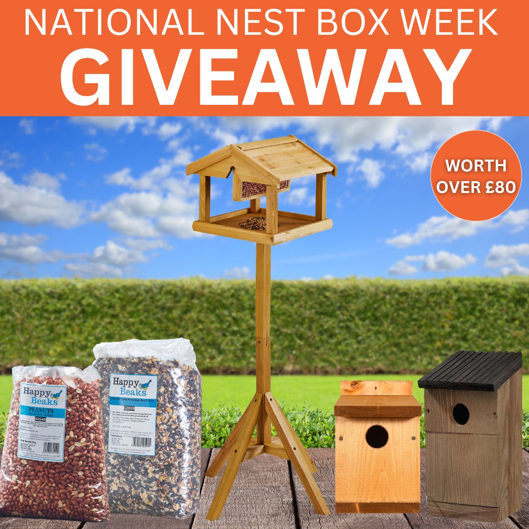Last chance to #WIN!

Our Bird Bundle Giveaway with <a href="/3growbags/">The3growbags</a> ends tomorrow at midday! 🐦

Give garden birds the perfect home with:
🏡 2 nest boxes
🌿 A bird table with built-in feeder
🥜 2.5kg peanut splits
🌾 5kg premium seed

Enter now 👉 the3growbags.com/plant-pots-com… 

#Giveaway