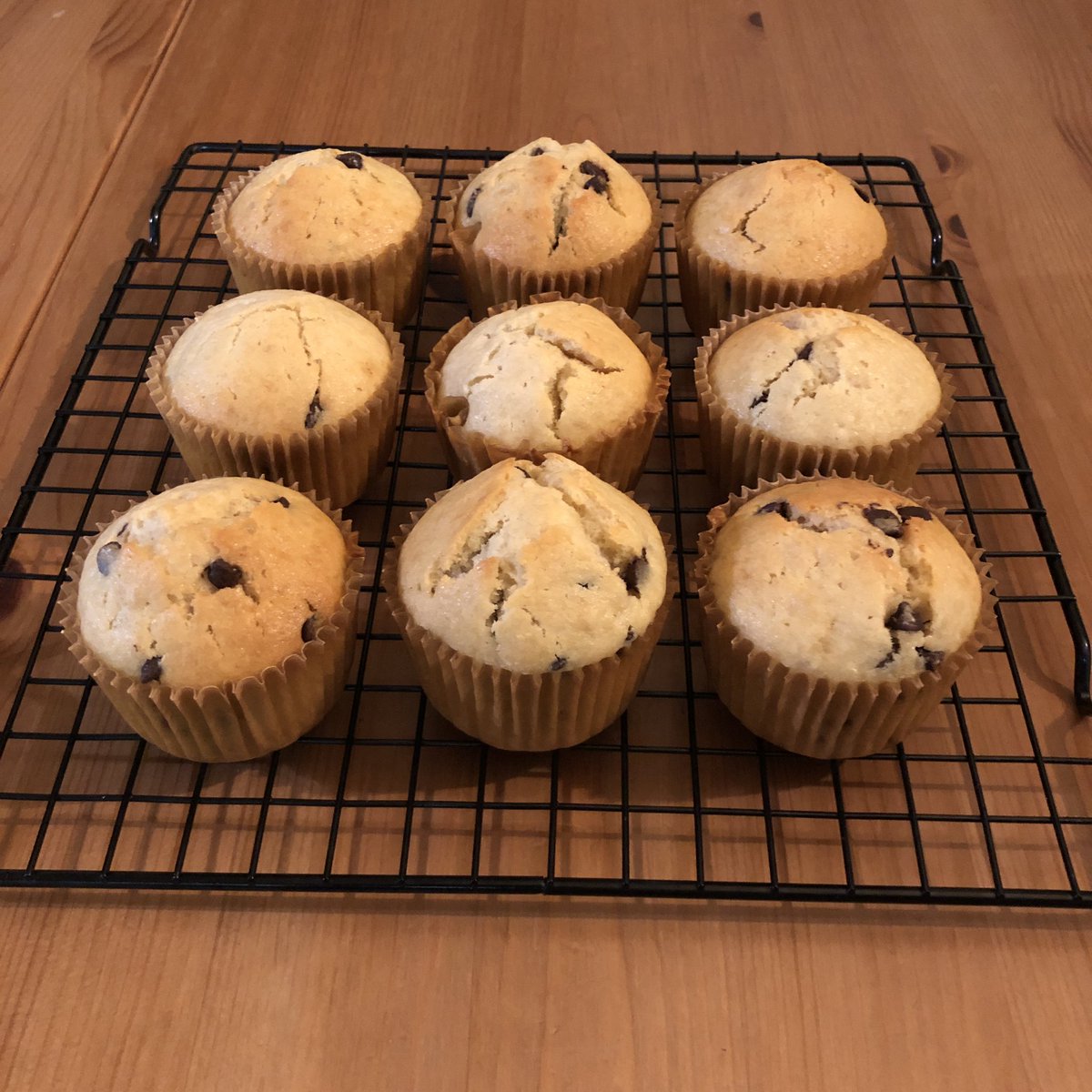 gwt_ag's tweet image. やっと理想のマフィン像ができた
いい割れですね〜