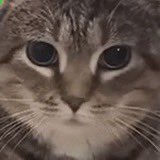 bybit down 1.8b? worried about your funds? 

wouldn’t matter if you just spun the cat.

o i i a. 

o i i a.