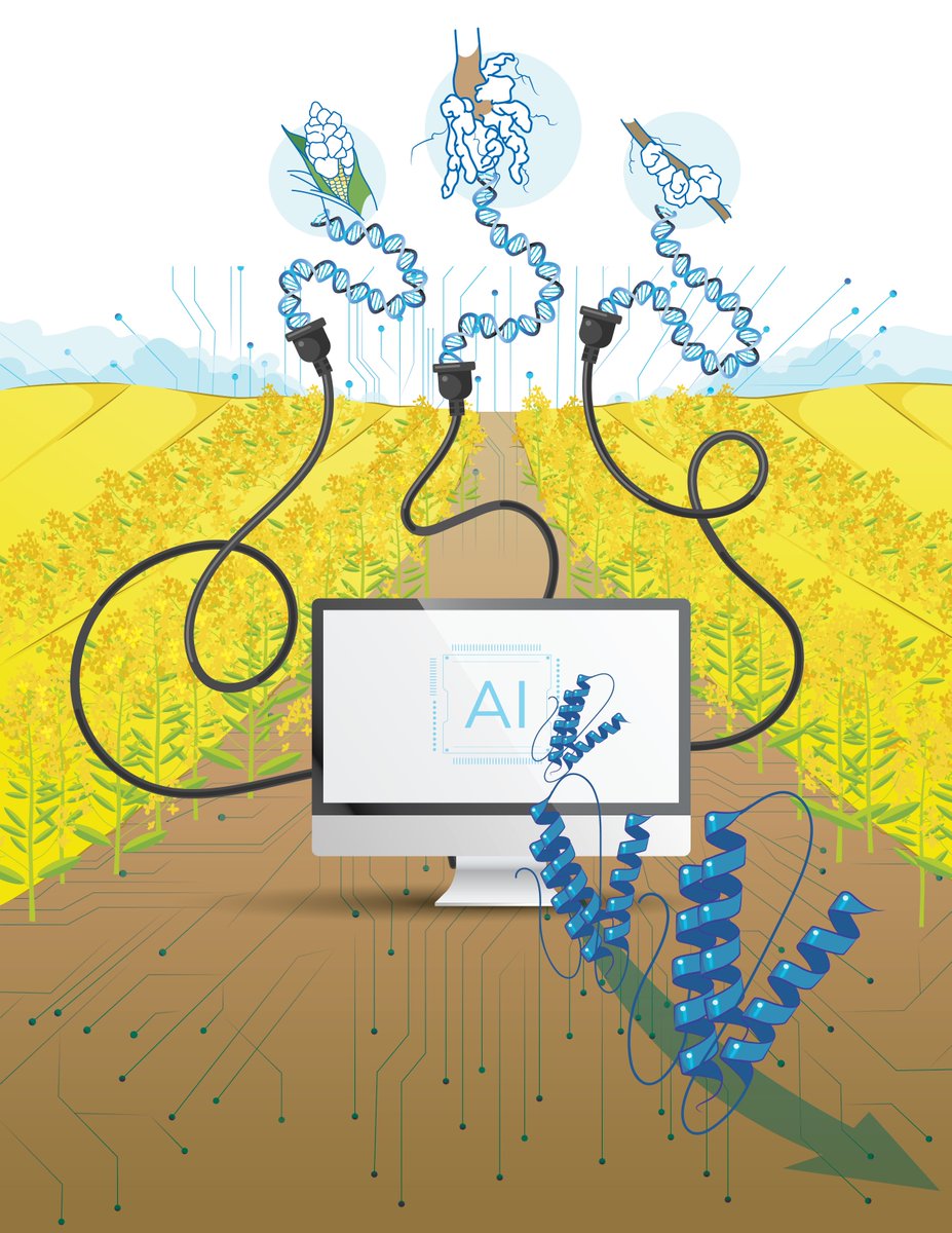 Edel Pérez-López (@edel_plopez) on Twitter photo Our reviewed preprint is out in <a href="/eLife/">eLife - the journal</a>! 🎉
Thank you <a href="/SohamBio/">Soham Mukhopadhyay</a> for your persistence! Congratulations also to <a href="/asimjaved777/">Muhammad Asim Javed</a> & <a href="/JiaxuWu6/">Jiaxuw-plant</a> for your contributions! So excited to keep digging into these results and understanding the clubroot pathogen!
elifesciences.org/reviewed-prepr… Our reviewed preprint is out in <a href="/eLife/">eLife - the journal</a>! 🎉
Thank you <a href="/SohamBio/">Soham Mukhopadhyay</a> for your persistence! Congratulations also to <a href="/asimjaved777/">Muhammad Asim Javed</a> & <a href="/JiaxuWu6/">Jiaxuw-plant</a> for your contributions! So excited to keep digging into these results and understanding the clubroot pathogen!
elifesciences.org/reviewed-prepr…