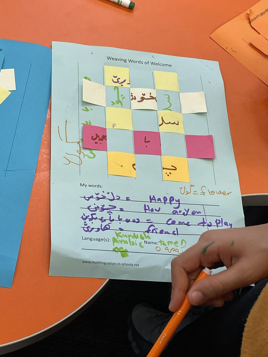 Dr Sabine Little tweet media