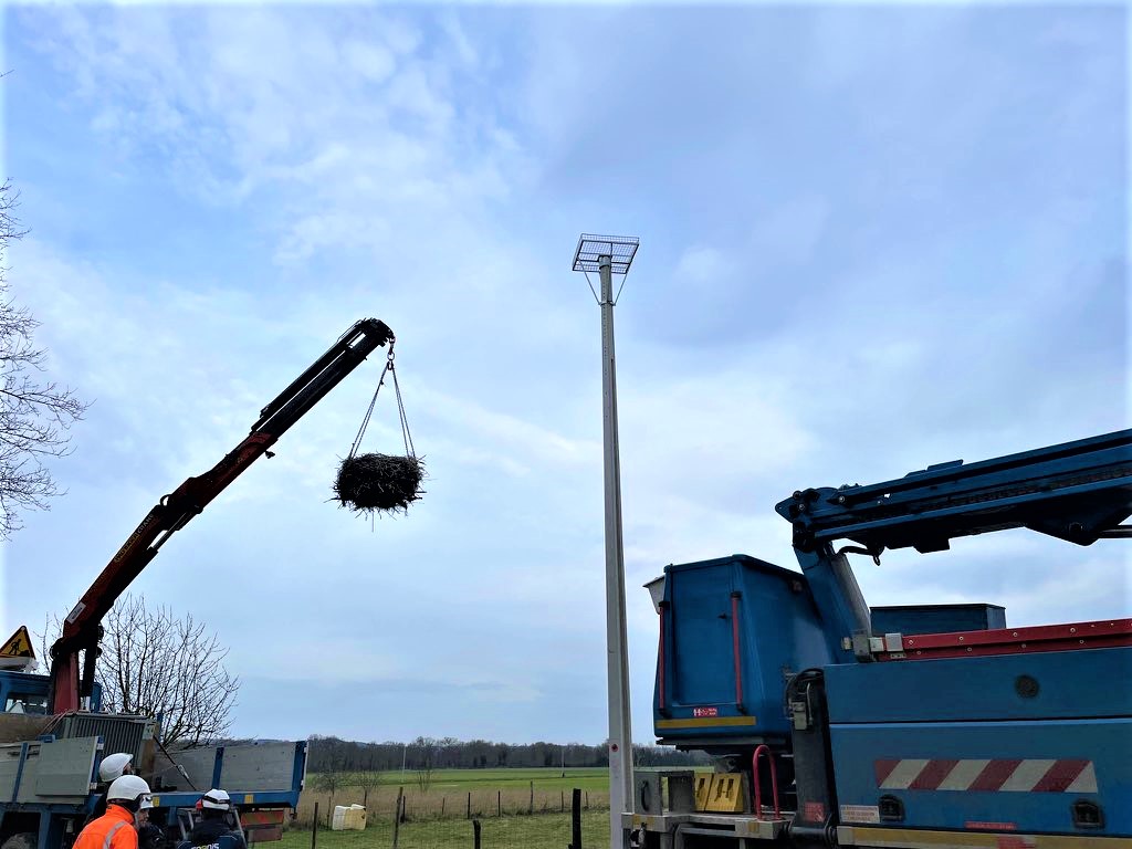 enedis_bretagne's tweet photo. Nos équipes préservent la biodiversité  : aujourd'hui avec l'#ACROLA nous avons déplacé un nid de cigognes situé proche d'un transformateur, risqué pour eux et le réseau, vers une plateforme sécurisée à 50 m. 🐦Opération réalisée hors période de nidification.👋
#Environnement https://t.co/JQ1zmPwR7v