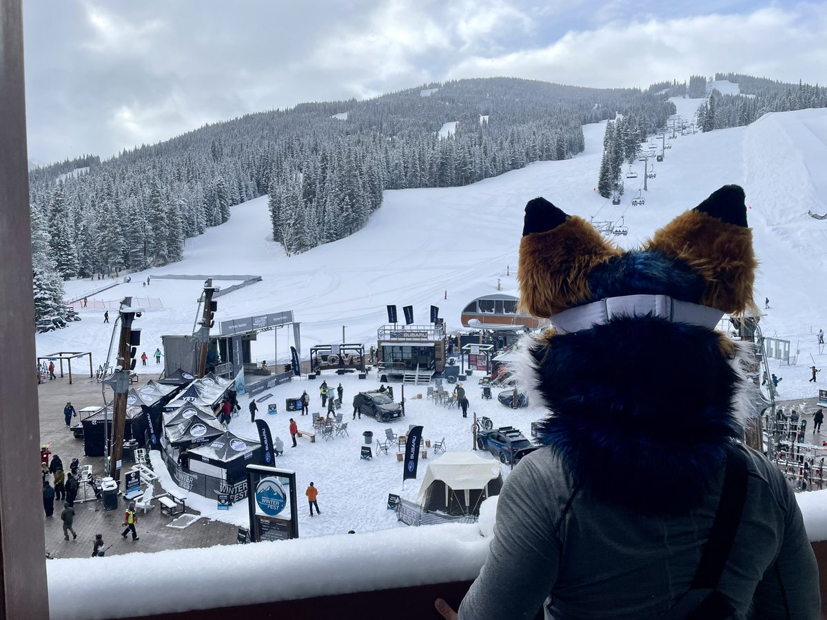 They told me there were waffles at the top of the mountain. #FursuitFriday