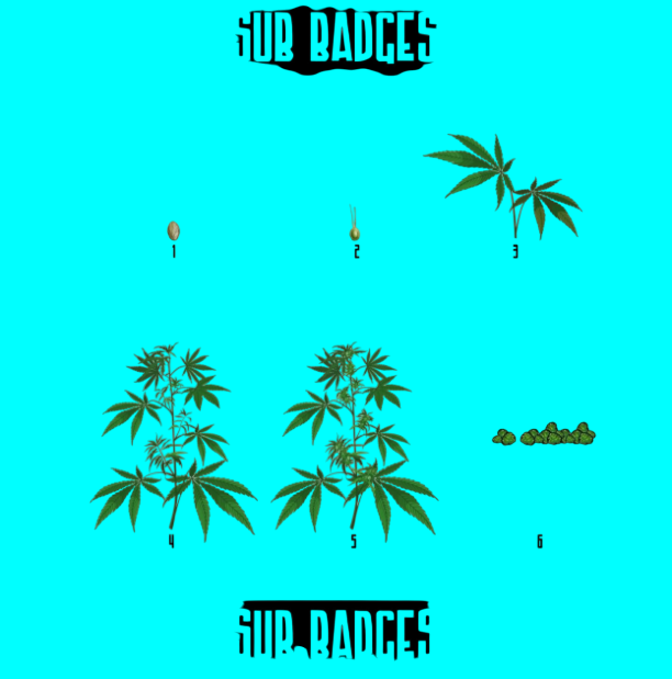 Maddie davis (@maddiedavis051) on Twitter photo HEY WEED LOVERS LOOKING FOR SUB BADGES?👀 DM ME!🍀
#Kick #youtube #twitch #smallstreamers #SmallStreamersConnect #SupportSmallStreamers #rt #genzie #ArtistOnTwitter #commissionT #characterart #2d <a href="/ScrimFinder/">Scrim Finder</a> <a href="/SurvivalPiraten/">Survival Piraten - Lasst uns gemeinsam Räubern</a>
<a href="/BlazedRTs/">Blazed</a> <a href="/sme_rt/">streamachine retweets 🇬🇧</a> <a href="/rtsmallstreams/">RT Small Streams</a> <a href="/SupStreamers/">Support Streamers</a> HEY WEED LOVERS LOOKING FOR SUB BADGES?👀 DM ME!🍀
#Kick #youtube #twitch #smallstreamers #SmallStreamersConnect #SupportSmallStreamers #rt #genzie #ArtistOnTwitter #commissionT #characterart #2d <a href="/ScrimFinder/">Scrim Finder</a> <a href="/SurvivalPiraten/">Survival Piraten - Lasst uns gemeinsam Räubern</a>
<a href="/BlazedRTs/">Blazed</a> <a href="/sme_rt/">streamachine retweets 🇬🇧</a> <a href="/rtsmallstreams/">RT Small Streams</a> <a href="/SupStreamers/">Support Streamers</a>