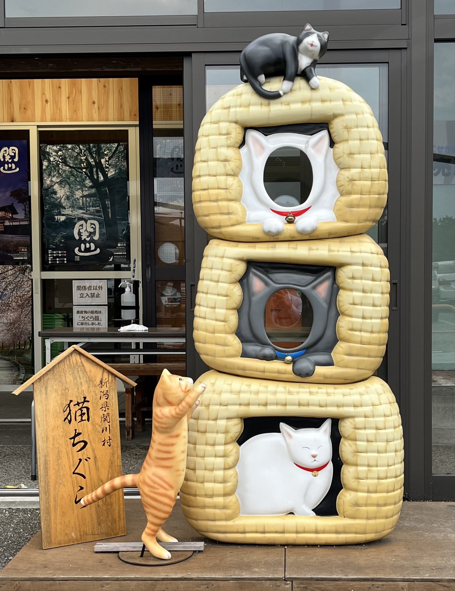 猫ちぐら(稲わら製品)、猫の猫no.66