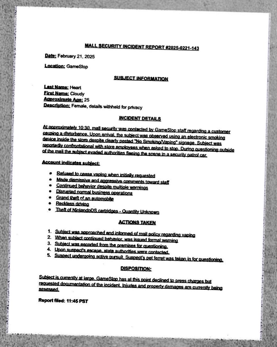 MSM Weather Update has received a leaked copy of the Police Report detailing Cloudy Heart’s fugitive status